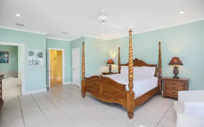 Photo 5 - Cape Palms