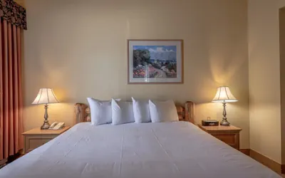 Photo 3 - Cozy Pet-friendly King Studio In Mt. Crested Butte Condo - No Cleaning Fee! by RedAwning