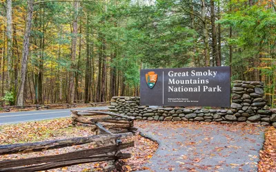 Photo 4 - Black Bear Lodge by Jackson Mountain Rentals