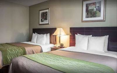 Photo 4 - Avon Hotel