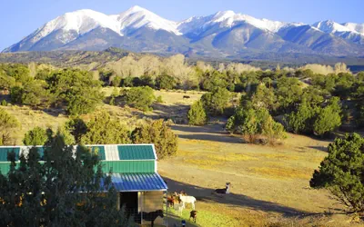 Photo 4 - Mountain Goat Lodge