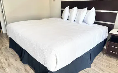 Photo 5 - Americas Best Value Inn Arlington