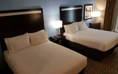Photo 4 - Holiday Inn Express & Suites Atascocita - Humble - Kingwood by IHG