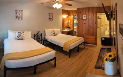 Photo 5 - Trees Motel