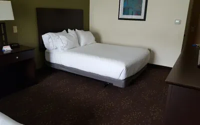 Photo 5 - Holiday Inn Express & Suites Geneva Finger Lakes by IHG