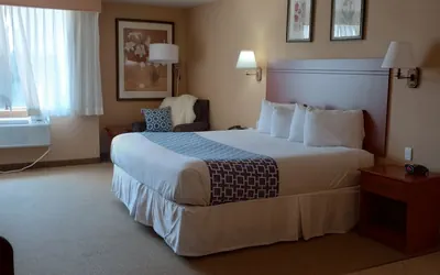 Photo 4 - Wingate by Wyndham Mount Vernon