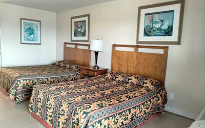 Photo 4 - Pharr Executive Inn
