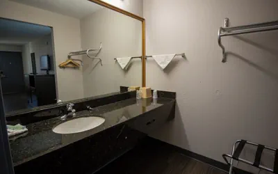 Photo 5 - Deluxe Inn & Suites Morgan City