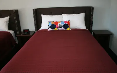 Photo 5 - Harry's Man Cave: The New Star Motel Experience