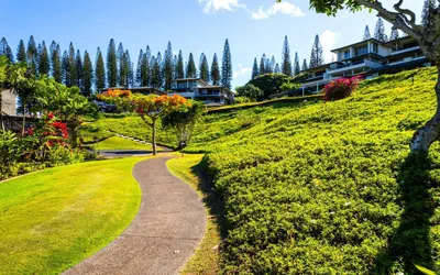 Photo 2 - Kapalua Golf Villas Resort by KBM