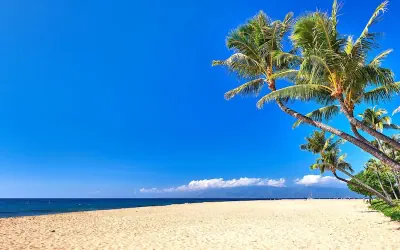 Photo 2 - Kaanapali Shores Resort by KBM