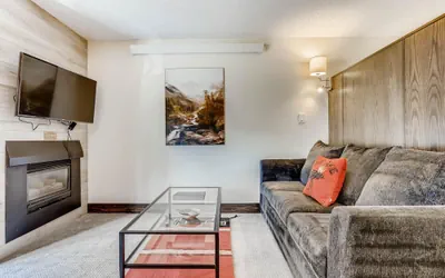 Photo 2 - Lift House Lodge, Pet Friendly, Premium Studio Condo