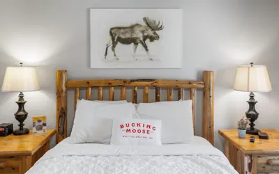 Photo 4 - The Bucking Moose