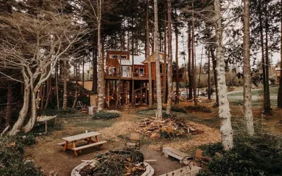 Photo 2 - Treehouse over the water - Eagle's Nest