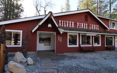 Photo 2 - Silver Pines Lodge