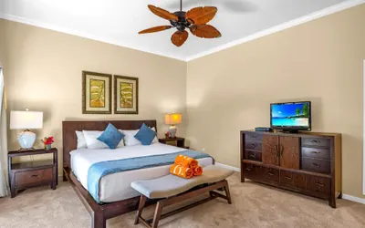 Photo 5 - Kapalua Ridge Villas Resort by KBM