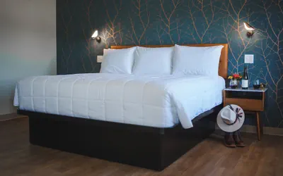 Photo 2 - City Center Motel