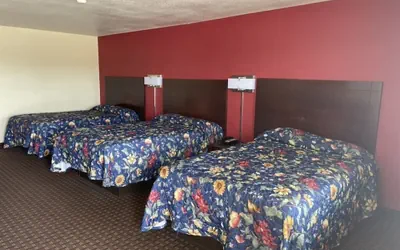 Photo 5 - Village Inn