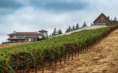 Black Walnut Inn & Vineyard