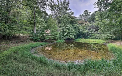 Photo 4 - Quiet Max Meadows Cabin, 12 Acres of Property