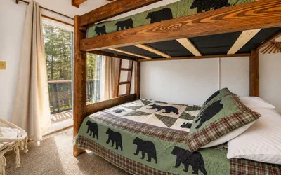 Photo 2 - Bear PAC Hideout