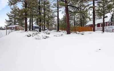 Bear Paw Cabin