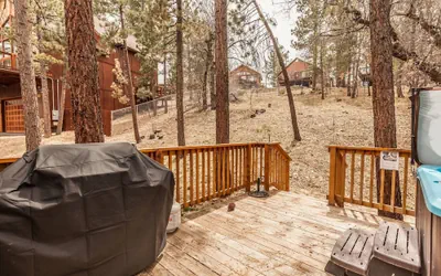 Bear Claw Cabin