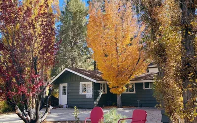 Photo 2 - Peaceful Pines Panorama