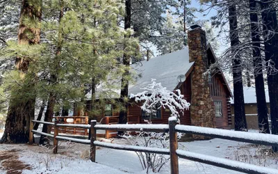 Rustic Pine