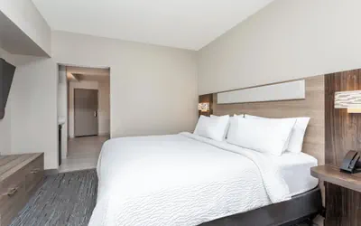 Photo 5 - Holiday Inn Express & Suites Ormond Beach - North Daytona by IHG