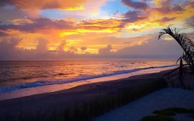 Photo 5 - Gulf Front Escape in Manasota Key