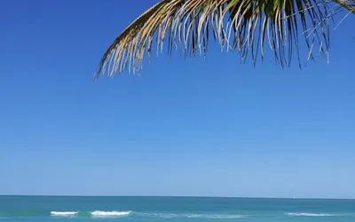 Photo 2 - Peaceful Sol in Manasota Key