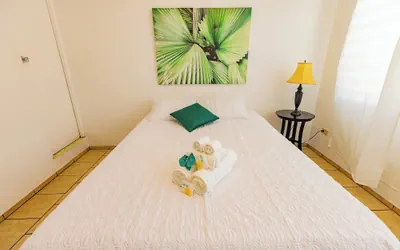Photo 5 - Vieques Tropical Guest House