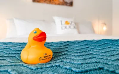 Photo 2 - The Lazy Duck Inn