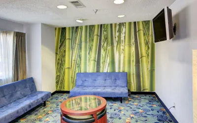 Photo 4 - Rodeway Inn & Suites Lewisville I-35