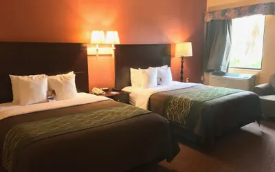 Photo 2 - Comfort Inn Mission - McAllen West