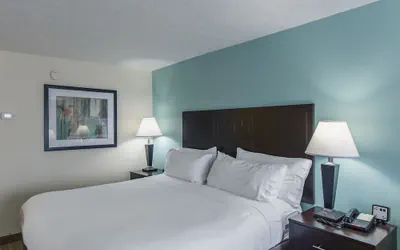 Photo 5 - Holiday Inn Express Dandridge by IHG