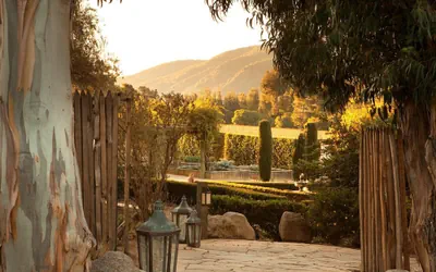 Photo 2 - Bernardus Lodge & Spa