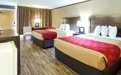 Photo 3 - Econo Lodge Wall