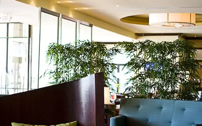 Photo 5 - DoubleTree by Hilton Atlanta - Northlake