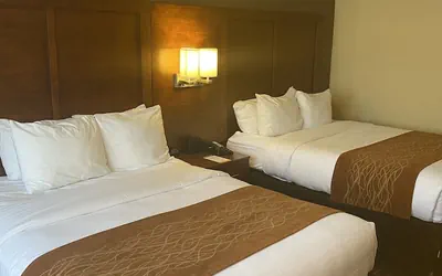 Photo 4 - Comfort Inn Springfield