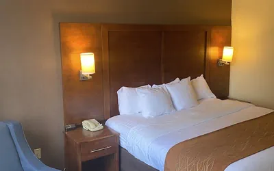 Photo 3 - Comfort Inn Springfield