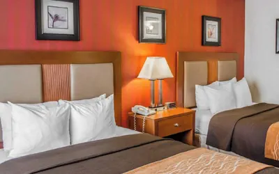 Photo 5 - Hotel Hanna