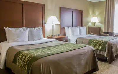 Photo 2 - Comfort Inn Morris I-80