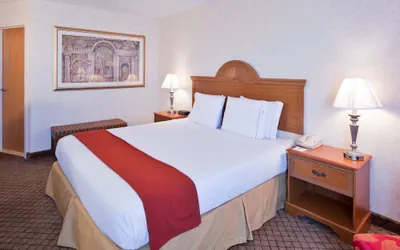 Photo 3 - Holiday Inn Express Flint-Campus Area by IHG