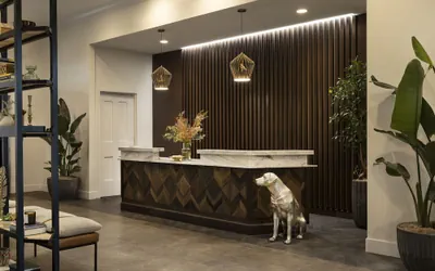 Photo 5 - The Steward, Santa Barbara, a Tribute Portfolio Hotel