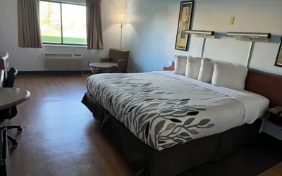 Sycamore Suites