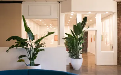Photo 4 - Hotel Burbank