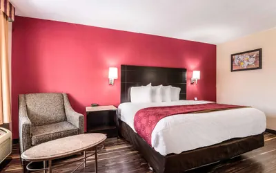 Photo 5 - Econo Lodge Pocomoke City Hwy 13