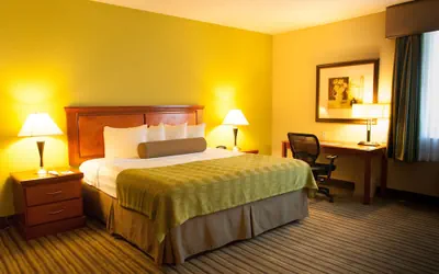 Photo 5 - Best Western Plus Miami-Doral/Dolphin Mall